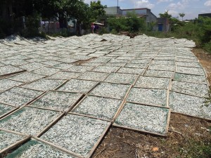 Small fish drying in the open