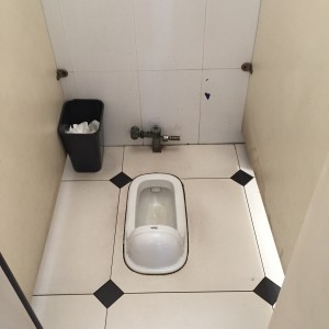 Slightly better grade of toilet.  Standard ones don't have any raised area.