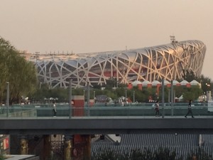 View of the Stadium