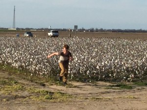 Carter scarpering from the cotton fields after picking some raw cotton!